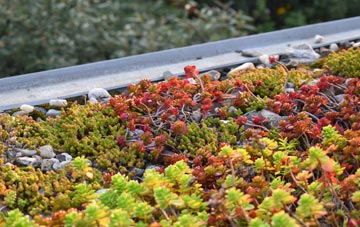 the cost of Gold Hill green roof installation