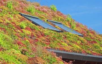 Gold Hill living roof systems