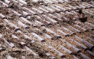 Gold Hill roof cleaning companies