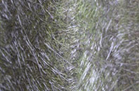 Gold Hill fibreglass roof work